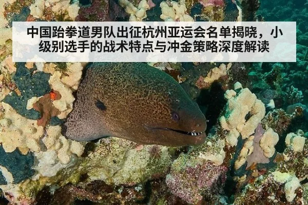 中国跆拳道男队出征杭州亚运会名单揭晓，小级别选手的战术特点与冲金策略深度解读